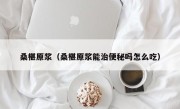 桑椹原浆（桑椹原浆能治便秘吗怎么吃）