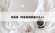 陈俊彦（陈俊彦到底是什么人）