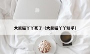 大熊猫丫丫死了（大熊猫丫丫知乎）