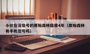 小伙在没信号的原始森林隐居4年（原始森林有手机信号吗）