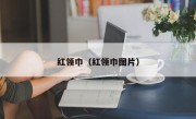 红领巾（红领巾图片）