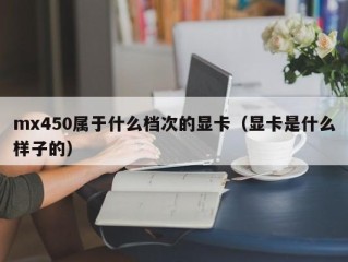mx450属于什么档次的显卡（显卡是什么样子的）