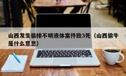 山西发生偷排不明液体案件致3死（山西偷牛是什么意思）