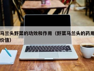 马兰头野菜的功效和作用（野菜马兰头的药用价值）