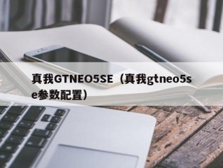 真我GTNEO5SE（真我gtneo5se参数配置）