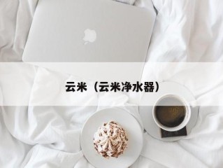 云米（云米净水器）