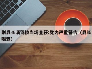副县长酒驾被当场查获:党内严重警告（县长喝酒）