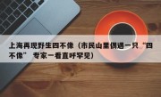 上海再现野生四不像（市民山里偶遇一只“四不像” 专家一看直呼罕见）
