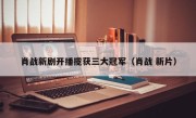 肖战新剧开播揽获三大冠军（肖战 新片）