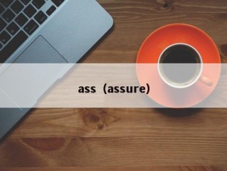 ass（assure）