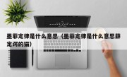 墨菲定律是什么意思（墨菲定律是什么意思薛定谔的猫）
