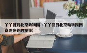 丫丫回到北京动物园（丫丫回到北京动物园回京需静养的视频）