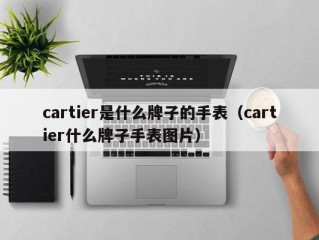 cartier是什么牌子的手表（cartier什么牌子手表图片）