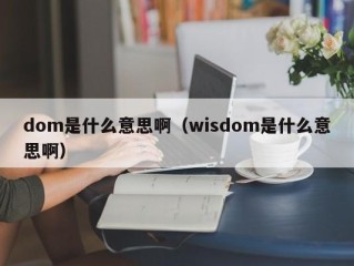 dom是什么意思啊（wisdom是什么意思啊）
