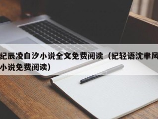 纪辰凌白汐小说全文免费阅读（纪轻语沈聿风小说免费阅读）