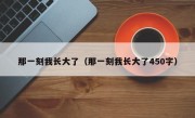 那一刻我长大了（那一刻我长大了450字）