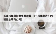 天美传媒自制剧免费观看（9一传媒制片厂的制作水平与口碑）