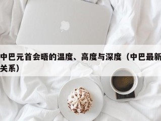 中巴元首会晤的温度、高度与深度（中巴最新关系）