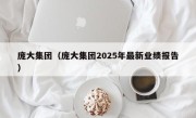 庞大集团（庞大集团2025年最新业绩报告）