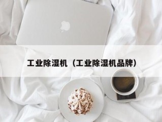 工业除湿机（工业除湿机品牌）