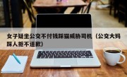 女子疑坐公交不付钱踩猫威胁司机（公交大妈踩人拒不道歉）