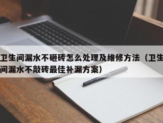 卫生间漏水不砸砖怎么处理及维修方法（卫生间漏水不敲砖最佳补漏方案）
