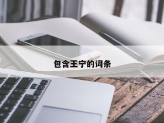 包含王宁的词条