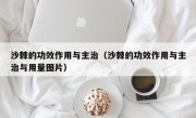 沙棘的功效作用与主治（沙棘的功效作用与主治与用量图片）