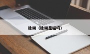 猞猁（猞猁是猫吗）