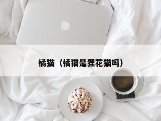 橘猫（橘猫是狸花猫吗）