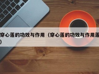 穿心莲的功效与作用（穿心莲的功效与作用莲）