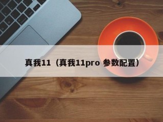 真我11（真我11pro 参数配置）