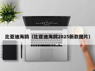 比亚迪海鸥（比亚迪海鸥2025新款图片）