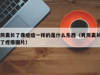 阴囊长了像痘痘一样的是什么东西（男阴囊长了疙瘩图片）