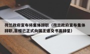 荷兰政府宣布将集体辞职（荷兰政府宣布集体辞职,首相已正式向国王递交书面辞呈）