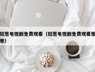 招惹电视剧免费观看（招惹电视剧免费观看策驰）