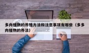 多肉植物的养殖方法和注意事项有哪些（多多肉植物的养法）