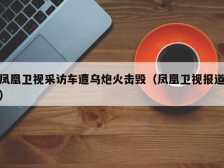 凤凰卫视采访车遭乌炮火击毁（凤凰卫视报道）