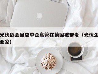 光伏协会回应中企高管在德国被带走（光伏企业家）
