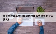 属鼠的今年多大（属鼠的今年多大属牛的今年多大）