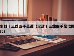 尘封十三载凶手是谁（尘封十三载凶手是谁图片）