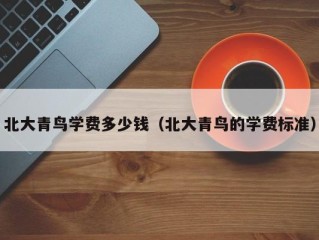 北大青鸟学费多少钱（北大青鸟的学费标准）