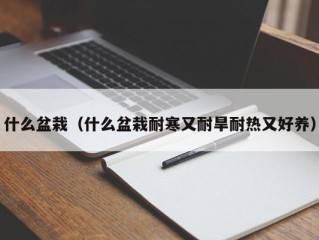 什么盆栽（什么盆栽耐寒又耐旱耐热又好养）