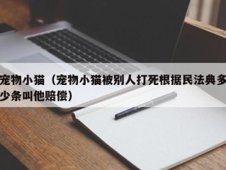 宠物小猫（宠物小猫被别人打死根据民法典多少条叫他赔偿）