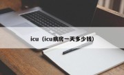 icu（icu病房一天多少钱）
