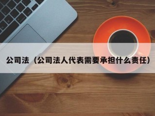 公司法（公司法人代表需要承担什么责任）