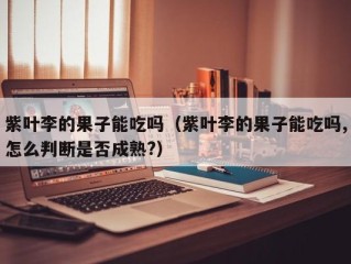 紫叶李的果子能吃吗（紫叶李的果子能吃吗,怎么判断是否成熟?）