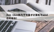 ibm（ibm致力于将量子计算机与amd芯片结合）