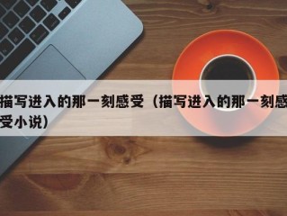 描写进入的那一刻感受（描写进入的那一刻感受小说）