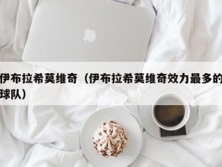 伊布拉希莫维奇（伊布拉希莫维奇效力最多的球队）